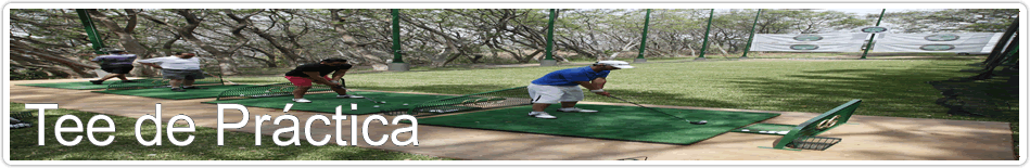 Tee de Práctica